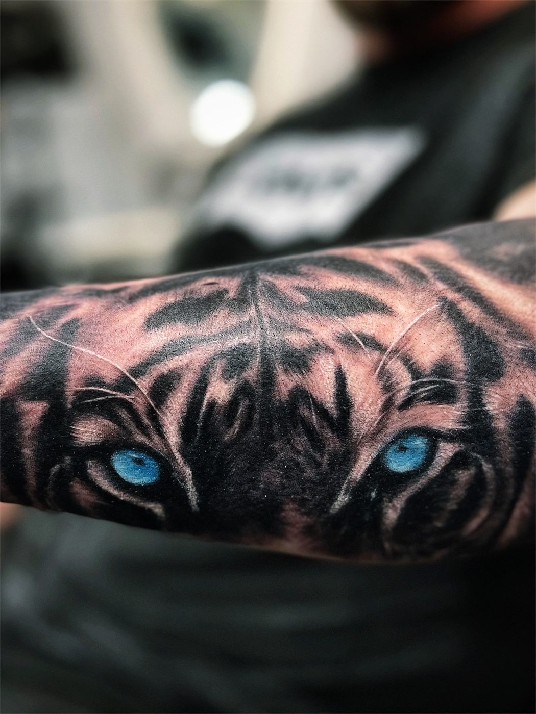 Tiger's eyes in colour realism
